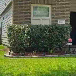 Bush Trimming by Martínez landscaping reviewed on September 14, 2024