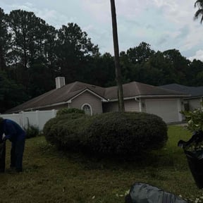 Bush Trimming by Veterans lawn services reviewed on July 26, 2022