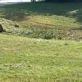 Leaf Removal by Johnson landscaping reviewed on April 29, 2023