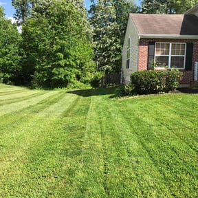 Leaf Removal by Greenview Lawn Solutions llc reviewed on June 27, 2022
