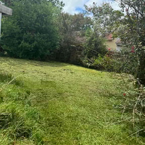 Cleanups by Lawn Care Rx reviewed on June 16, 2022