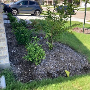 Flower Bed Weeding by Gabriel Landscape reviewed on November 15, 2024