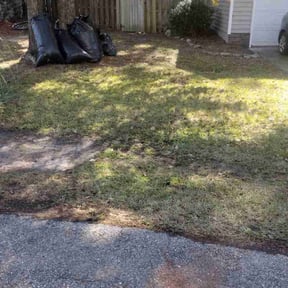 Leaf Removal by Lowcountry yard maintaince reviewed on June 15, 2021