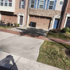Leaf Removal by Ledezma reviewed on August 5, 2022