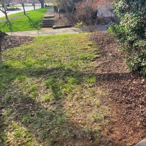 Leaf Removal by Quick Cutz Lawn Care. reviewed on March 12, 2025