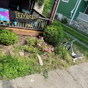 Flower Bed Weeding by Pro grow landscapeing reviewed on August 2, 2022
