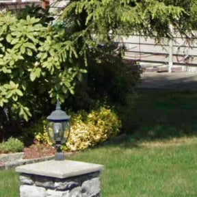 Flower Bed Weeding by Paradise landscaping reviewed on June 6, 2022