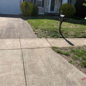 Bush Trimming by Eco Landscape &amp; Design reviewed on June 29, 2025