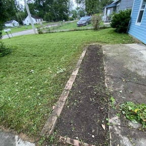 Weeding by TAJA Design and Build reviewed on June 14, 2023