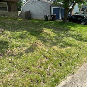 Leaf Removal by Rays Lawn Grooming & Snow Removal LLC reviewed on April 29, 2022