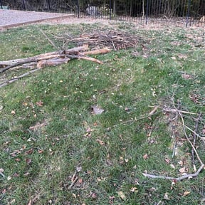 Bush Trimming by Enclave Landscape Management reviewed on June 18, 2022