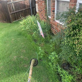 Bush Trimming by Elite Quality landscape & Cleaning llc reviewed on September 5, 2020