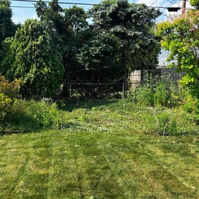 Landscaping by Binyard Consulting reviewed on May 9, 2025