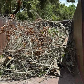 Cleanups by The Green Guy Lawn Care LLC reviewed on July 20, 2022
