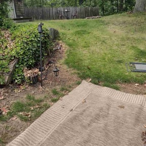 Cleanups by Lawn In Order reviewed on April 4, 2022