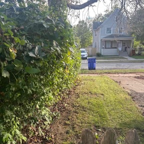 Bush Trimming by FRAMPTON'S LAWN SERVICE reviewed on April 22, 2022