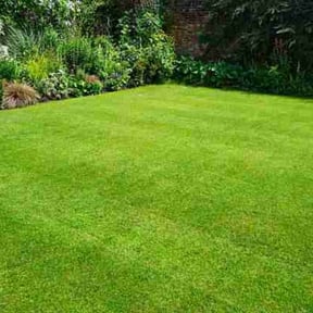 Bush Trimming by C.A. Lawnservices reviewed on November 21, 2021
