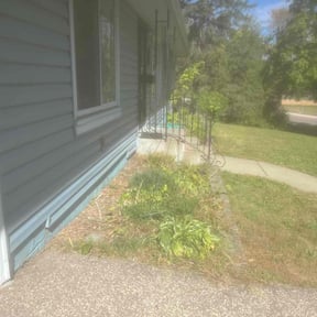 Bush Trimming by B&t lawn servicee reviewed on June 28, 2022
