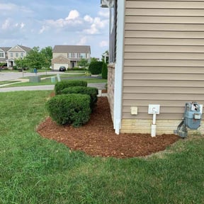 Landscaping by Chuyin's Lawn Care LLC reviewed on April 19, 2022