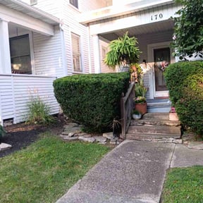 Bush Trimming by LOCAL Landscaping & Lawn Maintenance reviewed on October 9, 2022