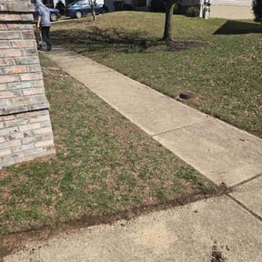 Leaf Removal by Lawns by leo reviewed on July 6, 2022