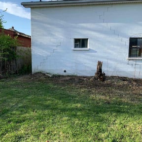 Leaf Removal by SM landscaping reviewed on March 24, 2022