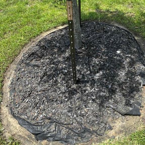 Flower Bed Weeding by Cut N Get Cut reviewed on June 15, 2022