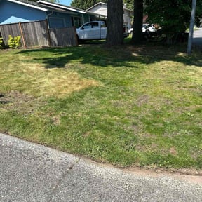 Landscaping by Green landscapes & Paver installer reviewed on June 2, 2022