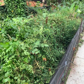 Bush Trimming by Multi Purpose Lawncare reviewed on June 5, 2025