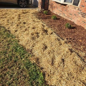 Landscaping by Ralphs Lawn Service reviewed on November 27, 2024