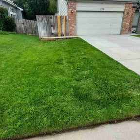 Weeding by J and M Lawn Service and More LLC reviewed on August 6, 2022
