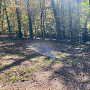 Weeding by Lawns Cut reviewed on June 28, 2020
