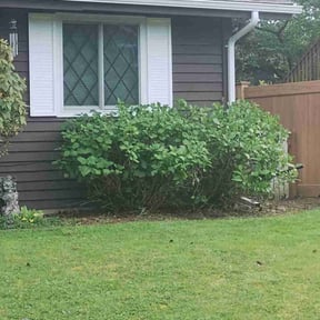 Bush Trimming by Jboudreaux Lawncare maintenance and Rentals LLC reviewed on January 3, 2022