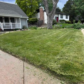 Weeding by Hernandez Family Lawn reviewed on June 13, 2025
