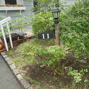 Leaf Removal by REAMSLAWNCARE LLC reviewed on August 5, 2022