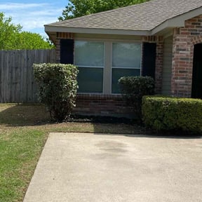 Bush Trimming by Salvador Lawn and Tree Service reviewed on June 24, 2025