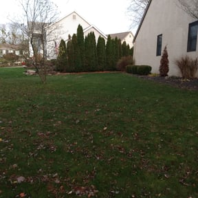 Bush Trimming by Greenblade Mowing reviewed on November 6, 2024