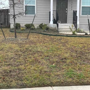 Flower Bed Weeding by Quality cuts lawn care reviewed on June 21, 2022