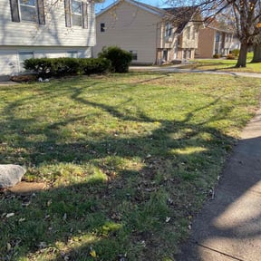 Leaf Removal by Up Cut Lawn Care reviewed on July 6, 2022
