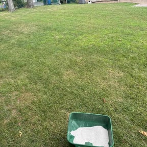 Lawn Seeding by TruGreen LawnCare reviewed on July 18, 2025