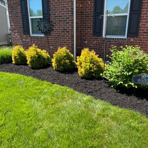 Mulching by QuikkScap LawnCare reviewed on May 24, 2022