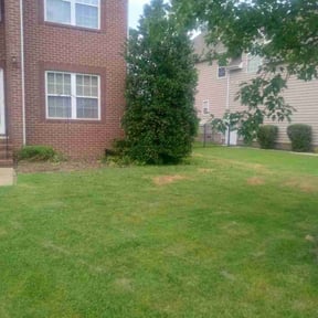 Bush Trimming by Active Lawn Care &amp; Landscapes reviewed on March 18, 2025