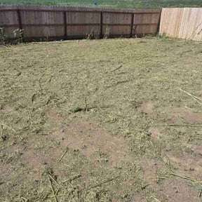 Cleanups by Colorado Lawns reviewed on July 3, 2025