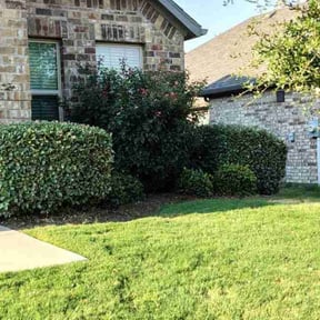 Bush Trimming by Greenxblades reviewed on May 1, 2025