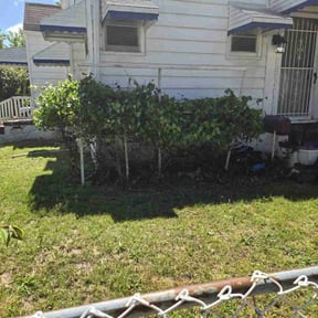 Bush Trimming by D&k Taylor lawn care reviewed on June 20, 2022