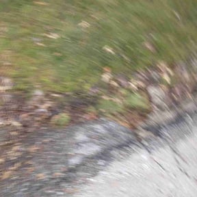 Leaf Removal by Chai reviewed on May 18, 2022
