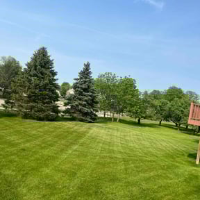 Cleanups by Solidlawncare reviewed on April 13, 2022