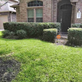Bush Trimming by Wright Way reviewed on October 14, 2021