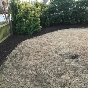 Mulching by Js Lawn Care reviewed on August 22, 2024