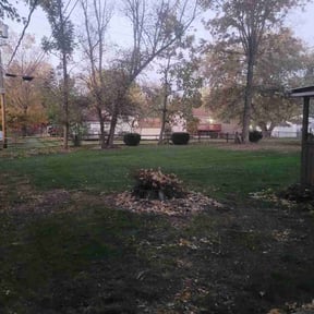 Leaf Removal by Advanced Home & Lawn Care LLC reviewed on April 8, 2022